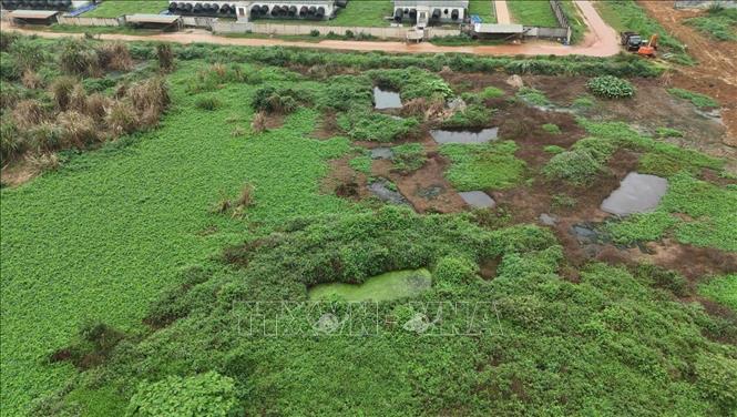 Qua kiểm tra, lực lượng chức năng phát hiện tại khu vực phía Tây Bắc trạm xử lý nước thải khu D có đường dẫn nước thải, phân lợn chưa qua xử lý chảy trực tiếp ra khu vực bãi đất rộng. Ảnh TTXVN phát 